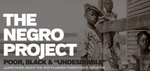 The Negro Project